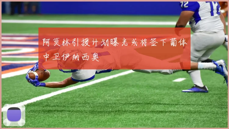 阿莫林引援计划曝光或将签下葡体中卫伊纳西奥