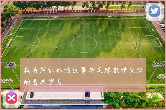 我看阿仙奴的故事与足球激情交织的青春岁月